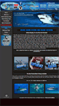Mobile Screenshot of miamisharktours.com
